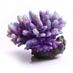 Aqua One NEW Copi Coral Acropora Purple/aqua 15.8x15x12.5cm   6881