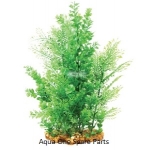 Aqua One Vibrance Plant Wisteria Bacopa (XL) 28222
